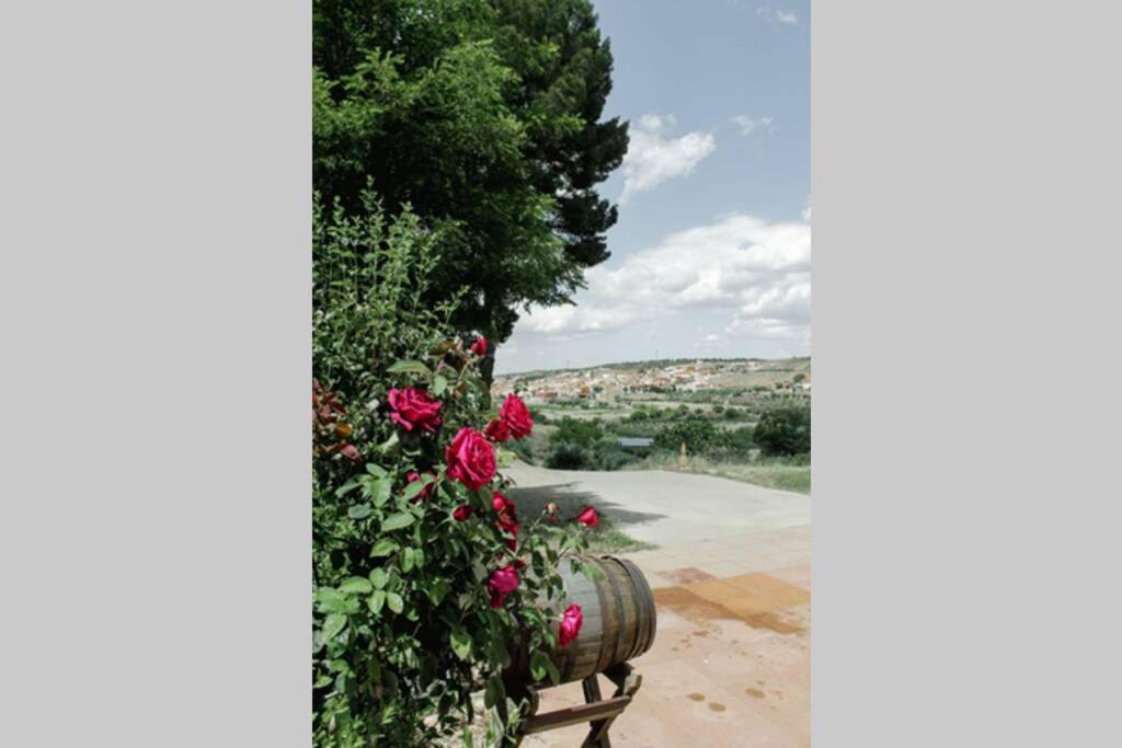 Casa Cueva Piena, Alcudia De Guadix别墅 外观 照片