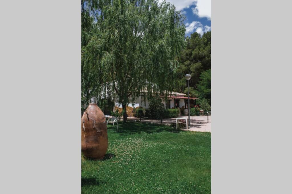 Casa Cueva Piena, Alcudia De Guadix别墅 外观 照片